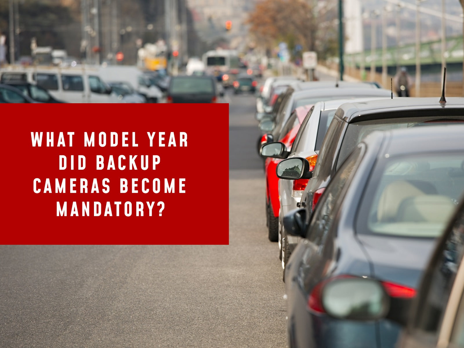 When Did Backup Cameras Become Mandatory in the United States?