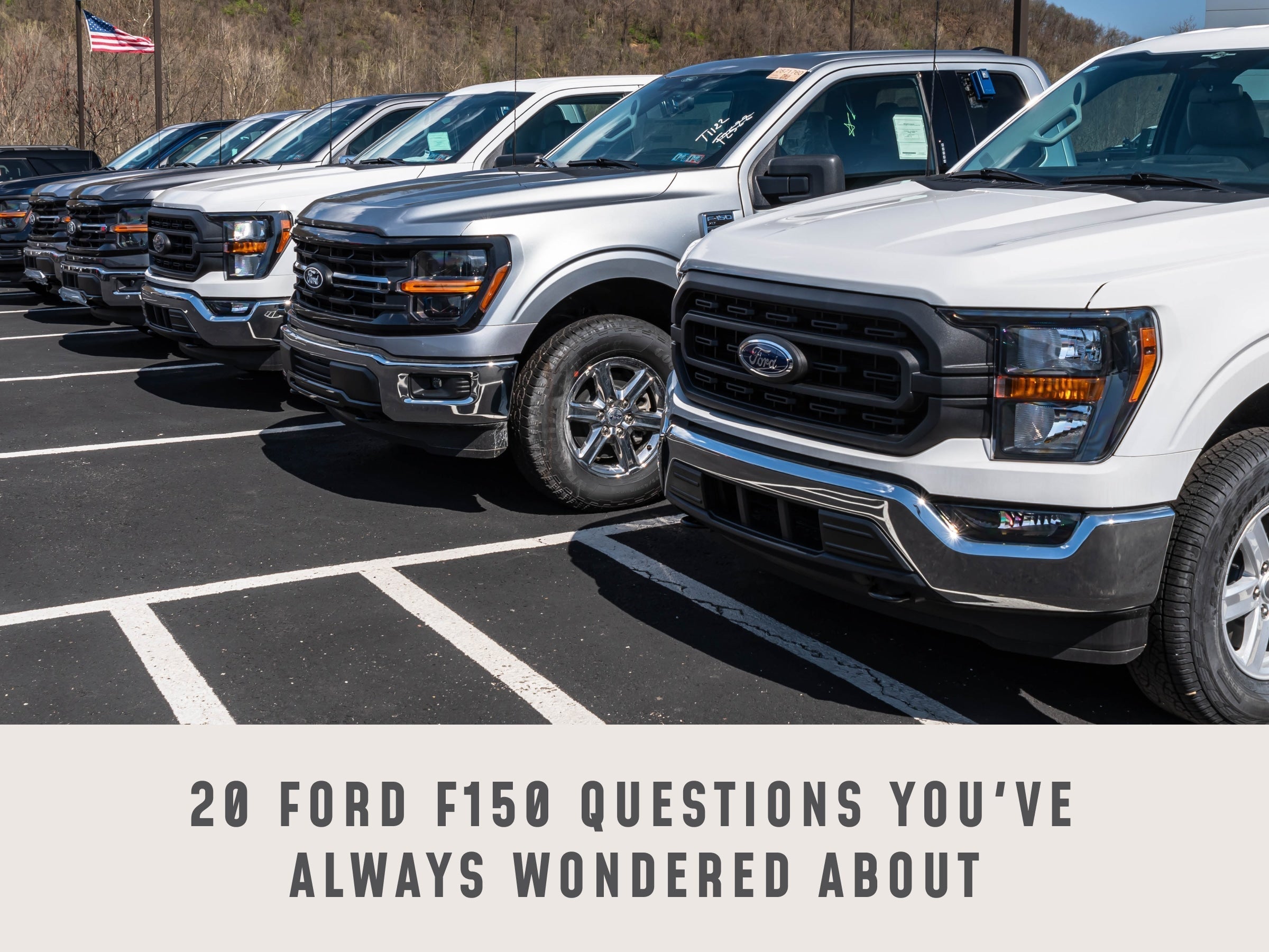 20 Ford F150 Questions You've Always Wondered About