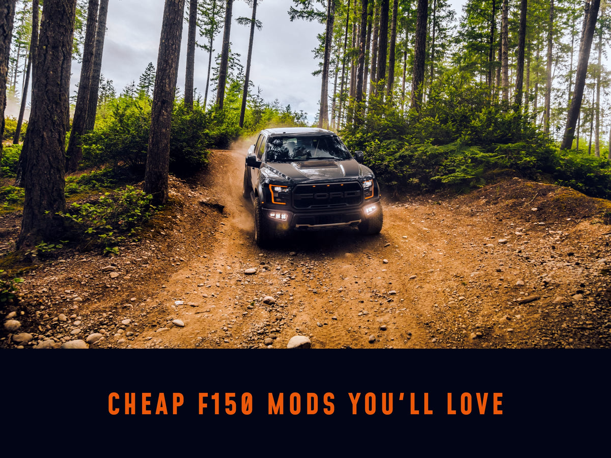 Cheap F150 Mods You'll Love