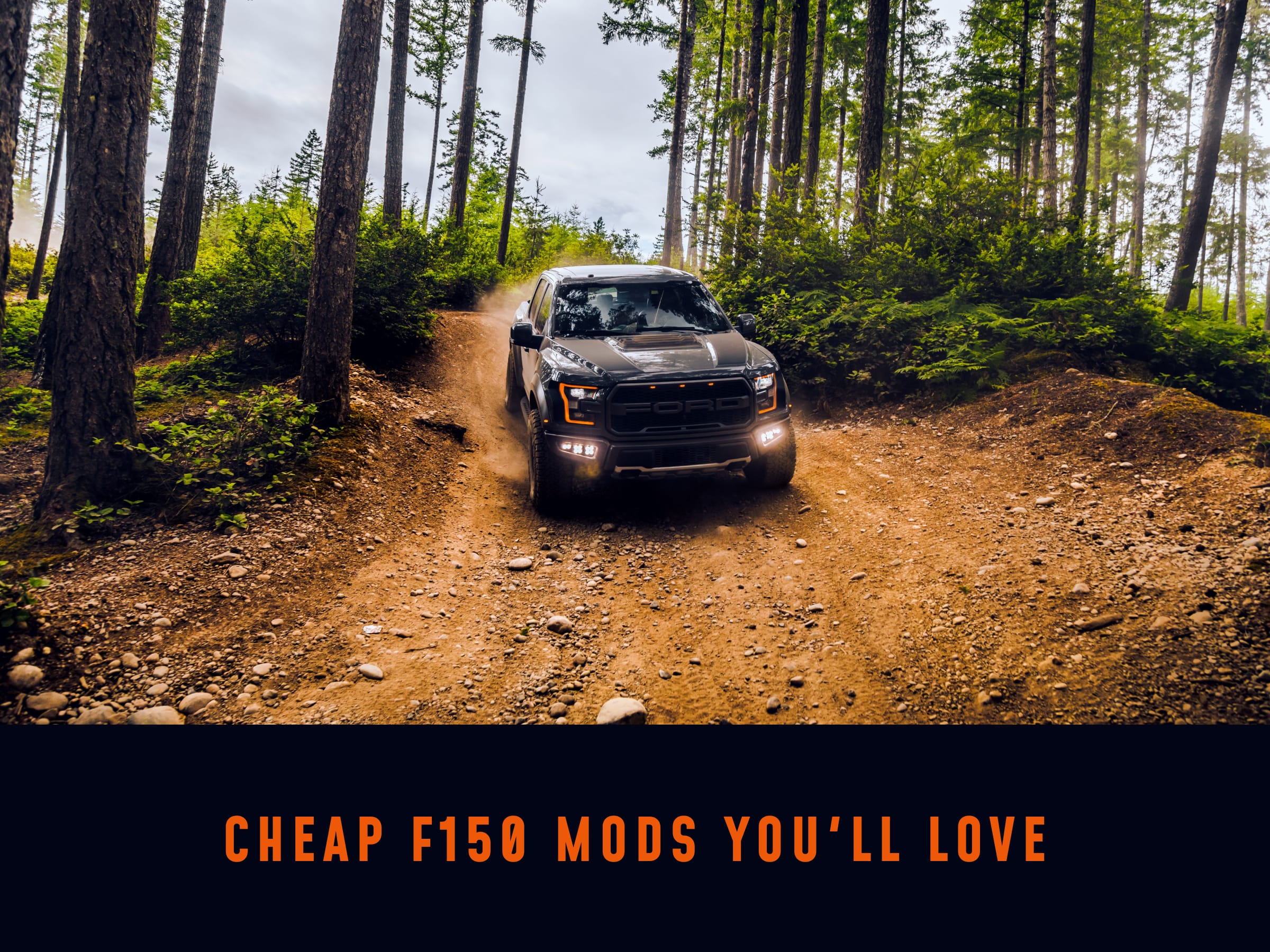 Cheap F150 Mods You'll Love