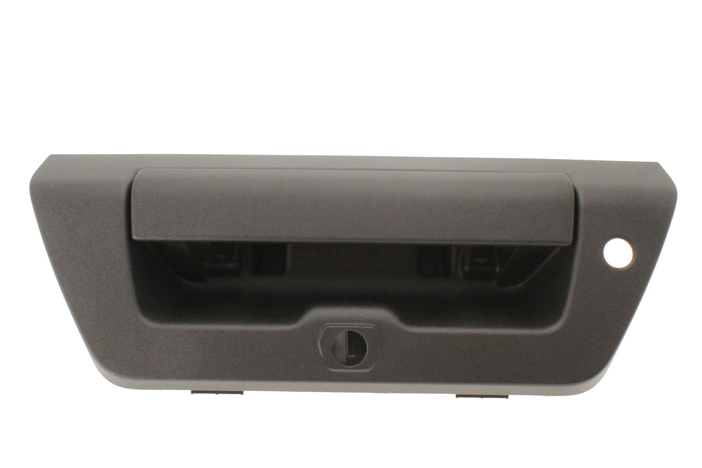 OEM Handle with light and camera hole- Fits 2015-2017 Ford® F-150-CLOSEOUT