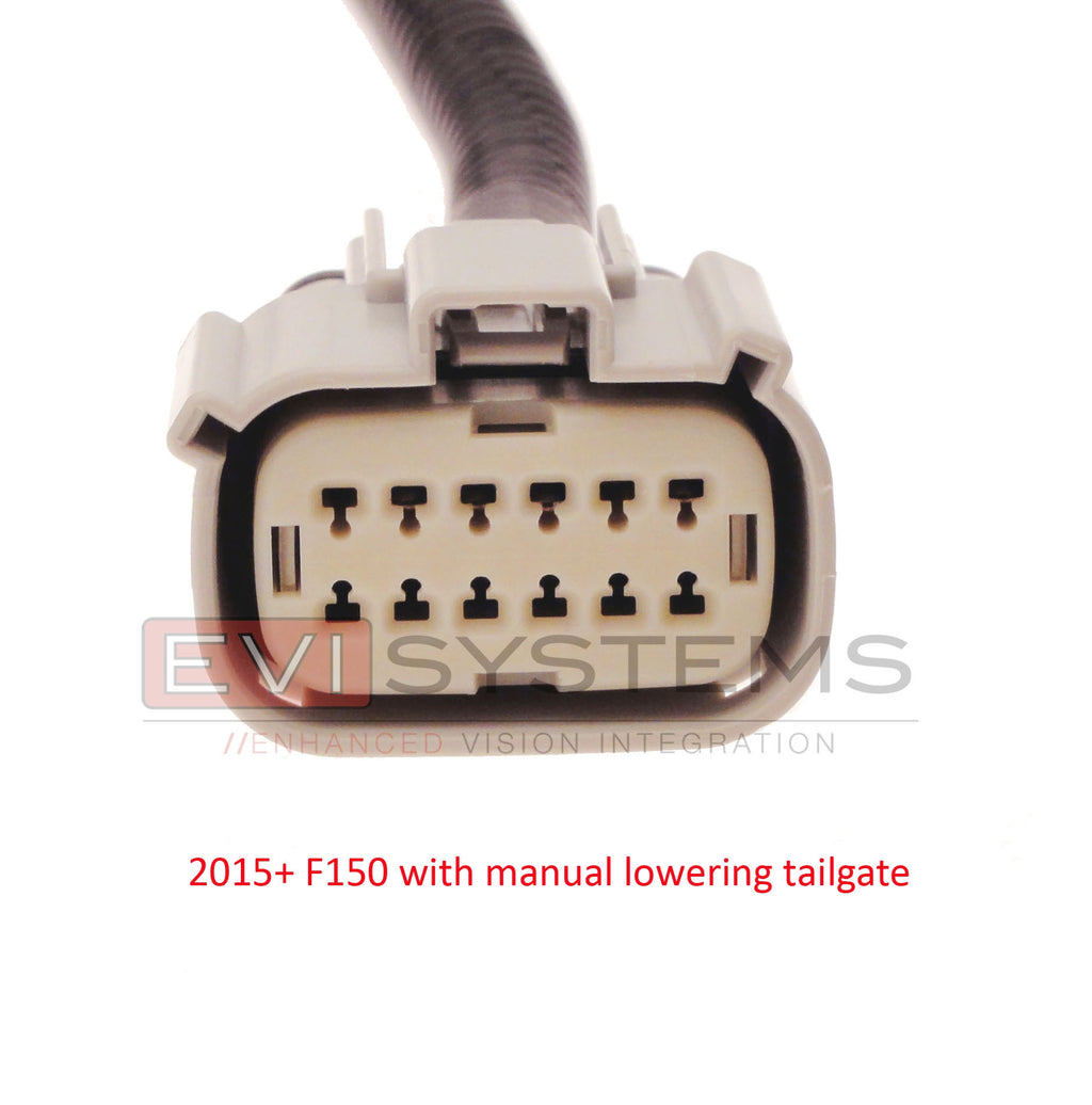 Plug-Play Rear Flush Mount Cam Kit, Fits F150