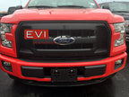 Surface Mount Front and OEM Tailgate Handle Camera Kit for 8" Display, Fits 2015 F150