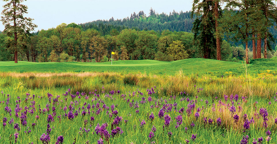 Mallard Creek Golf Course and RV Resort